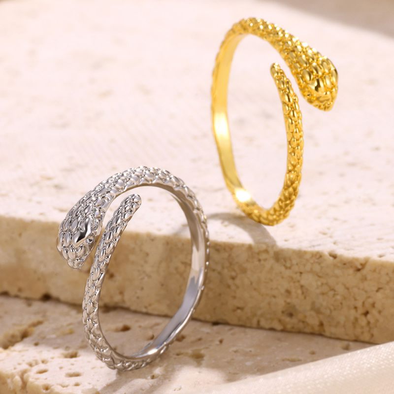 Anillo Abierto Serpiente