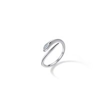 ASUM04937