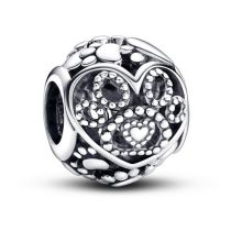 ASUM10880
