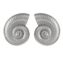 ASUM23047
