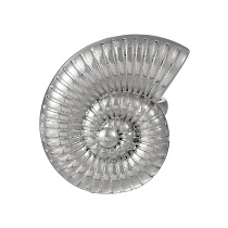 ASUM23049