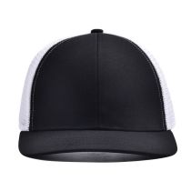 ASUM83171