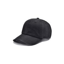 ASUM83244